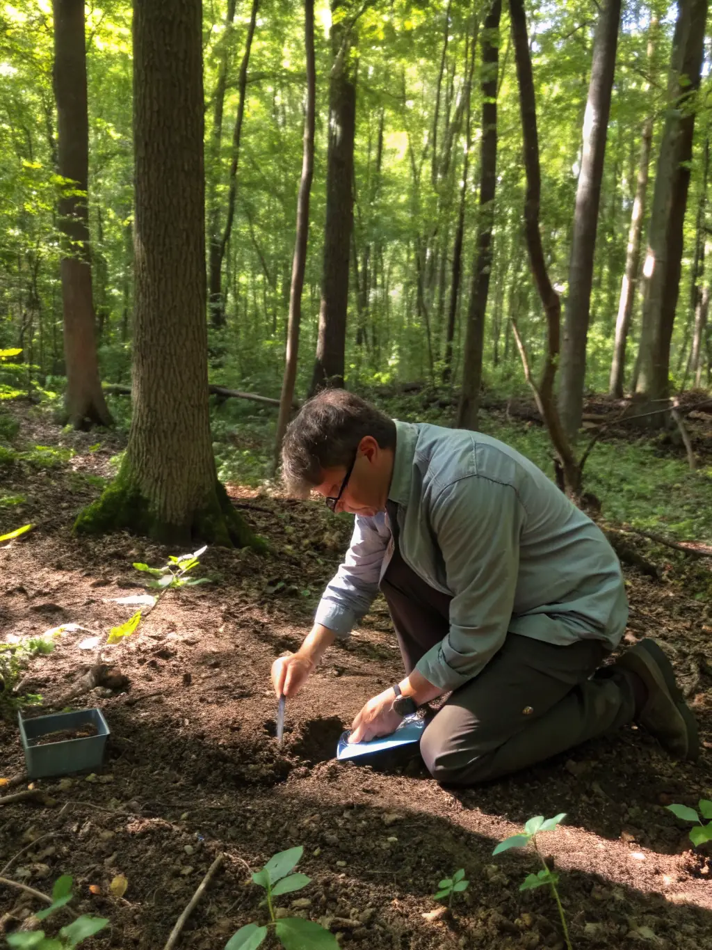 A photograph depicting researchers in a forest setting, collecting data on woodcock habitats, with a focus on scientific observation and environmental analysis.